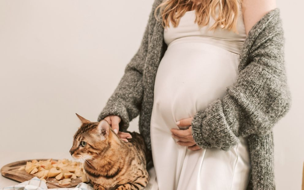 Toxoplasmose et grossesse : on se protège !